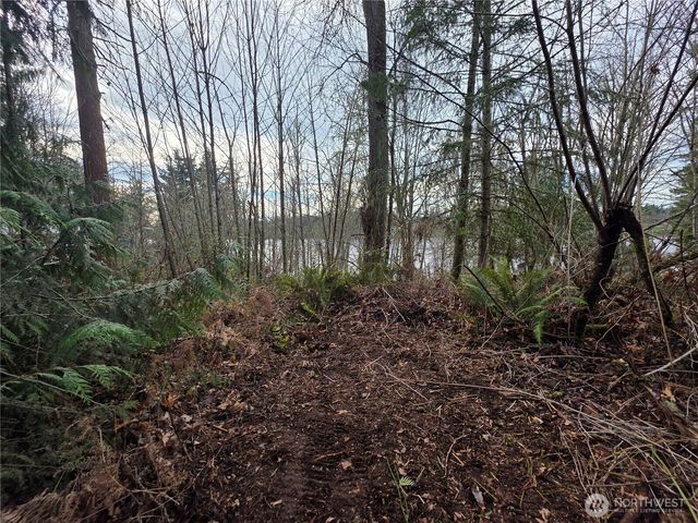 33722 Thomas Road E, Eatonville, WA 98328