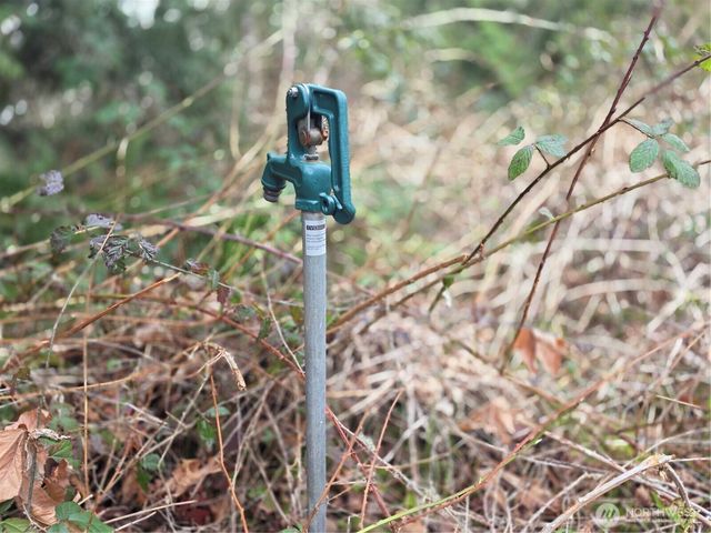 33722 Thomas Road E, Eatonville, WA 98328