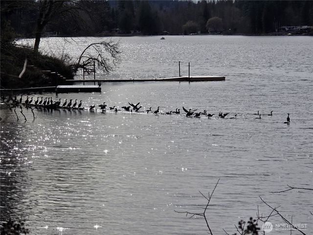 33722 Thomas Road E, Eatonville, WA 98328