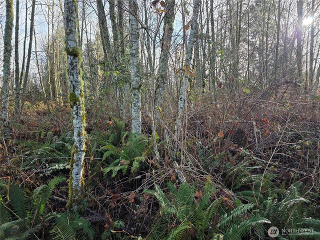 33722 Thomas Road E, Eatonville, WA 98328