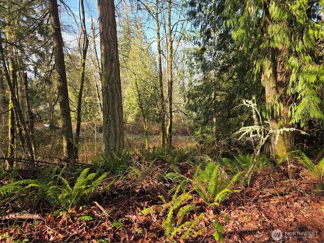 33722 Thomas Road E, Eatonville, WA 98328