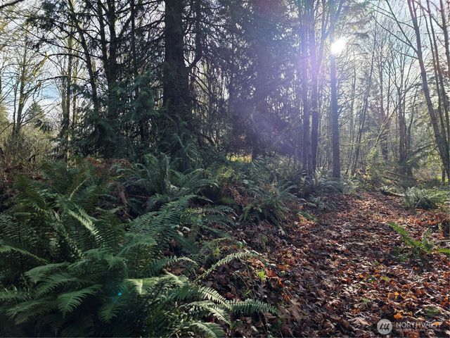 33722 Thomas Road E, Eatonville, WA 98328