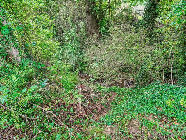 3 Delaware Avenue, Asheville, NC 28806