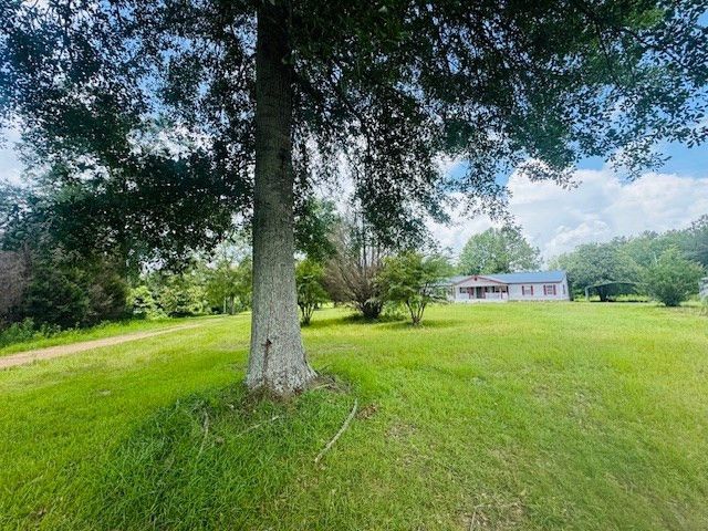 249 Brandon Bay Road, Tylertown, MS 39667