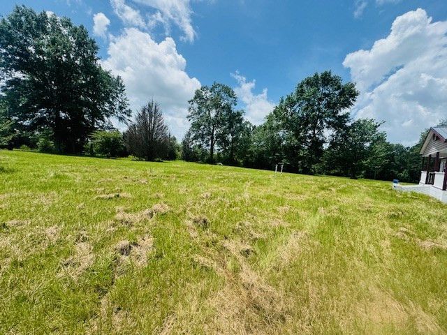 249 Brandon Bay Road, Tylertown, MS 39667