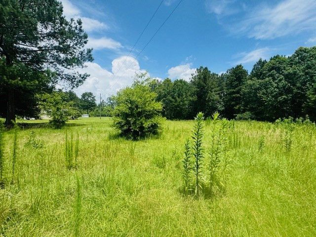 249 Brandon Bay Road, Tylertown, MS 39667