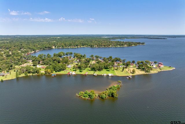 21743 South Shore Dr, Chandler, TX 75758