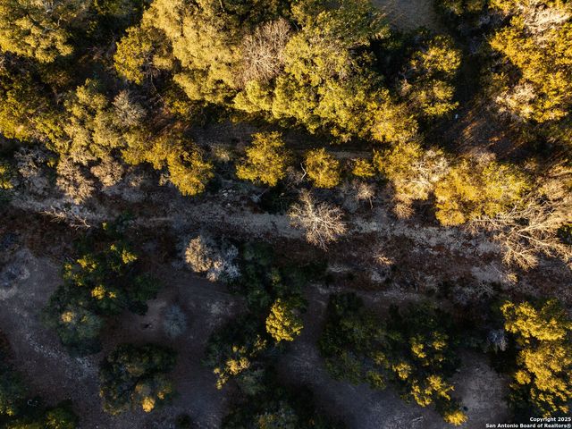 6.56 ACRES Ranch Road 1623, Blanco, TX 78606