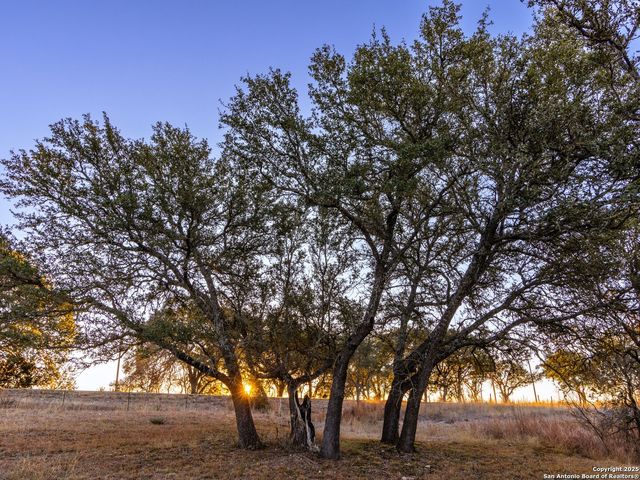6.56 ACRES Ranch Road 1623, Blanco, TX 78606