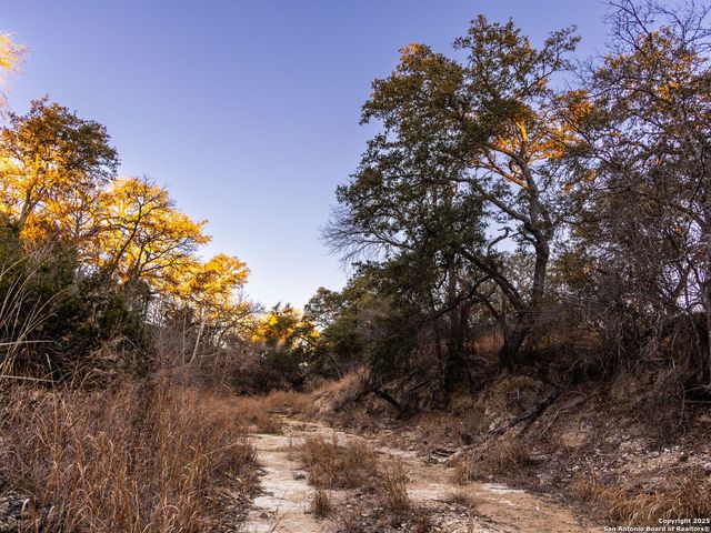 6.56 ACRES Ranch Road 1623, Blanco, TX 78606