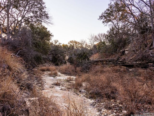 6.56 ACRES Ranch Road 1623, Blanco, TX 78606