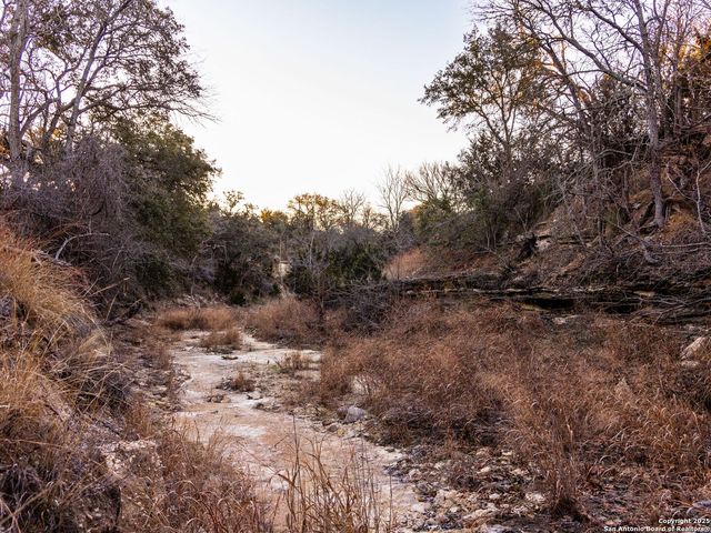 6.56 ACRES Ranch Road 1623, Blanco, TX 78606
