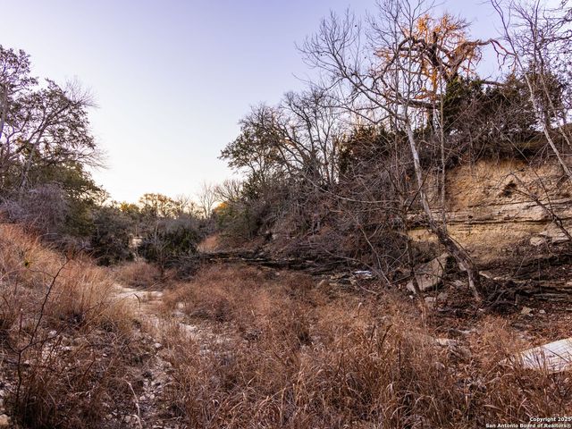 6.56 ACRES Ranch Road 1623, Blanco, TX 78606