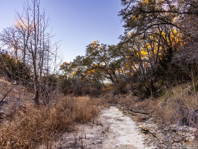 6.56 ACRES Ranch Road 1623, Blanco, TX 78606