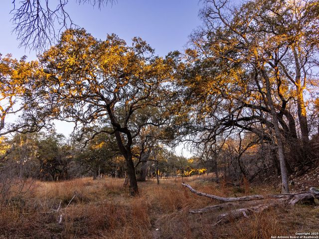 6.56 ACRES Ranch Road 1623, Blanco, TX 78606