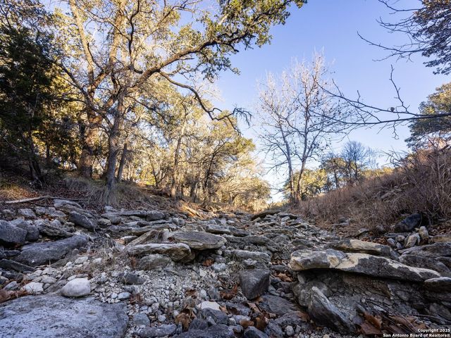 6.56 ACRES Ranch Road 1623, Blanco, TX 78606