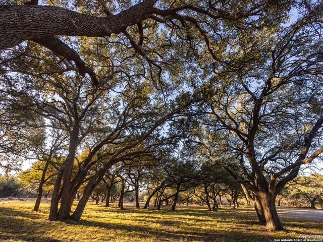 6.56 ACRES Ranch Road 1623, Blanco, TX 78606