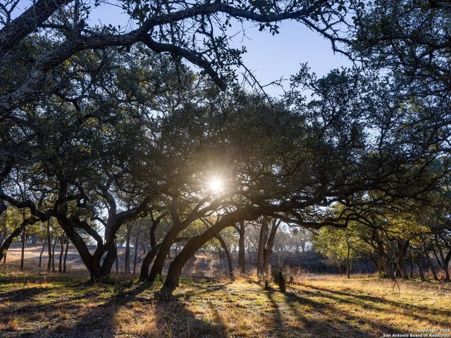 6.56 ACRES Ranch Road 1623, Blanco, TX 78606