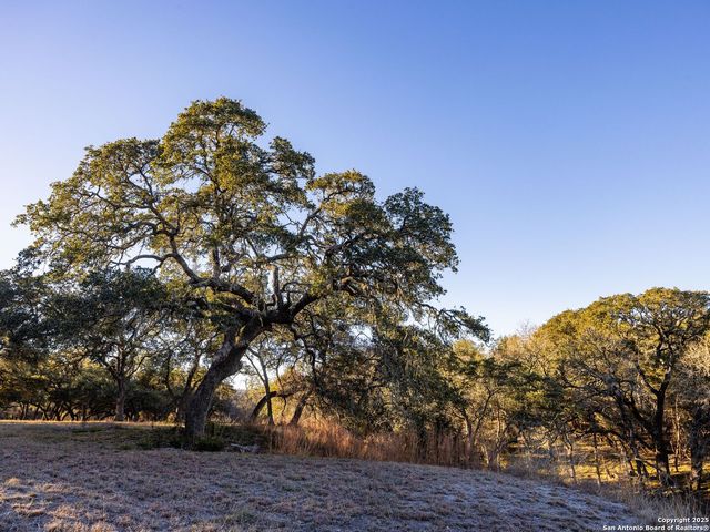 6.56 ACRES Ranch Road 1623, Blanco, TX 78606