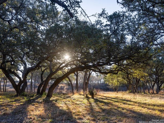 6.56 ACRES Ranch Road 1623, Blanco, TX 78606