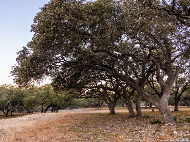 6.56 ACRES Ranch Road 1623, Blanco, TX 78606