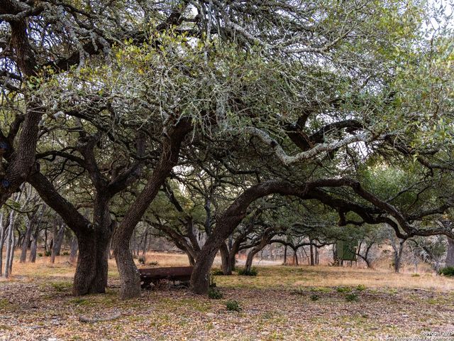 6.56 ACRES Ranch Road 1623, Blanco, TX 78606