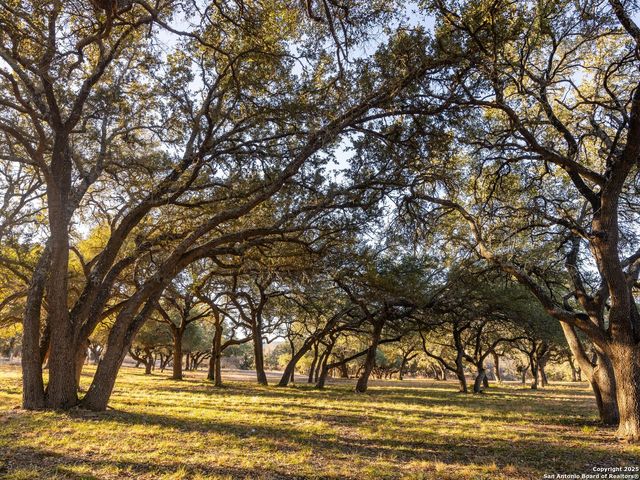 6.56 ACRES Ranch Road 1623, Blanco, TX 78606