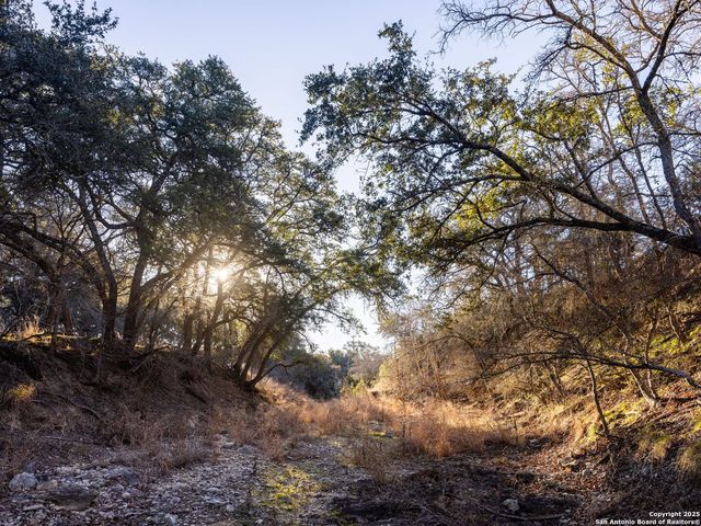 6.56 ACRES Ranch Road 1623, Blanco, TX 78606