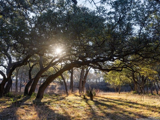 6.56 ACRES Ranch Road 1623, Blanco, TX 78606
