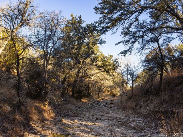 6.56 ACRES Ranch Road 1623, Blanco, TX 78606