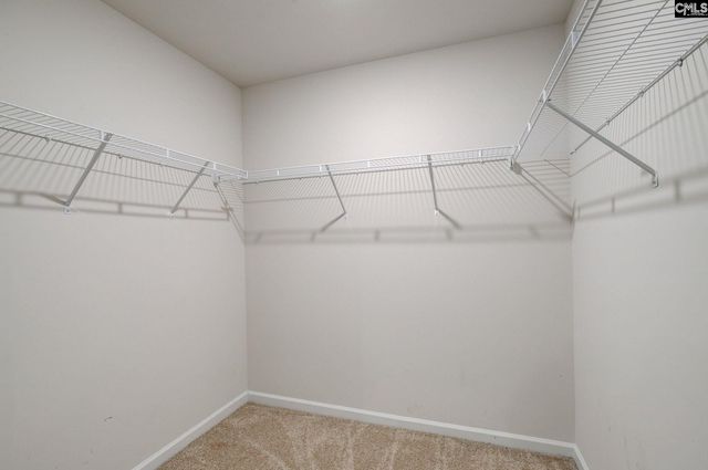 195 Carrington Drive, Lugoff, SC 29078