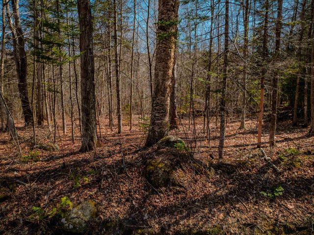 Ellsworth Hill Road, Ellsworth, NH 03223