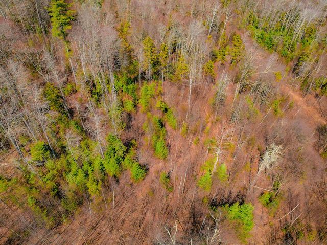 Ellsworth Hill Road, Ellsworth, NH 03223