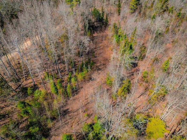 Ellsworth Hill Road, Ellsworth, NH 03223
