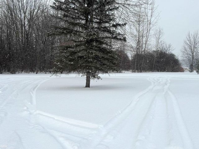 8223 Meisner Road, Casco, MI 48064