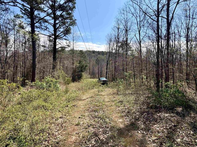 000 Fayette Road, Clinton, AR 72031