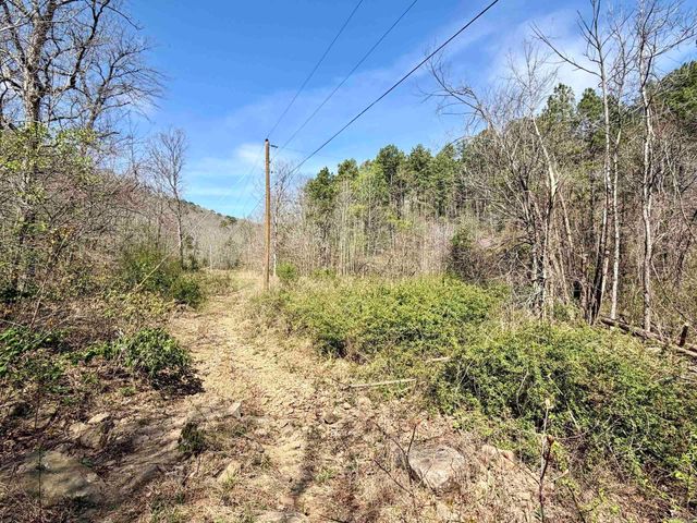 000 Fayette Road, Clinton, AR 72031