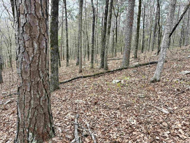 000 Fayette Road, Clinton, AR 72031