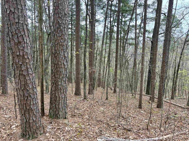 000 Fayette Road, Clinton, AR 72031
