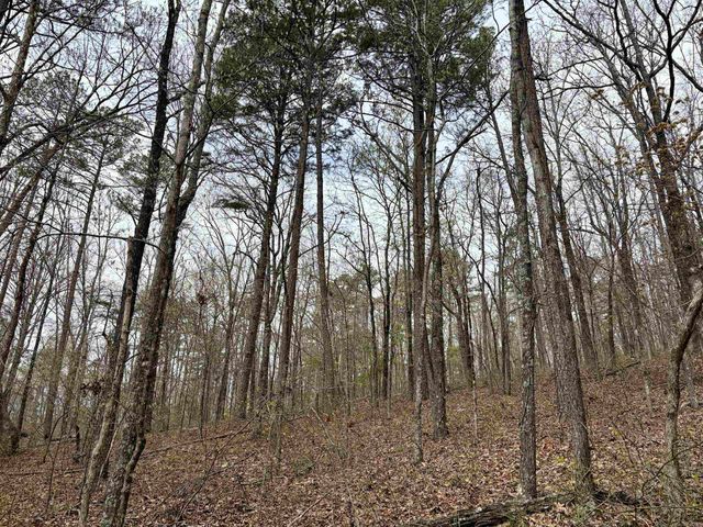 000 Fayette Road, Clinton, AR 72031
