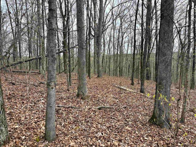 000 Fayette Road, Clinton, AR 72031