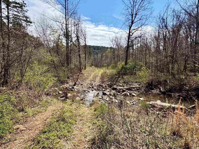 000 Fayette Road, Clinton, AR 72031