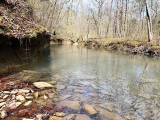 000 Fayette Road, Clinton, AR 72031