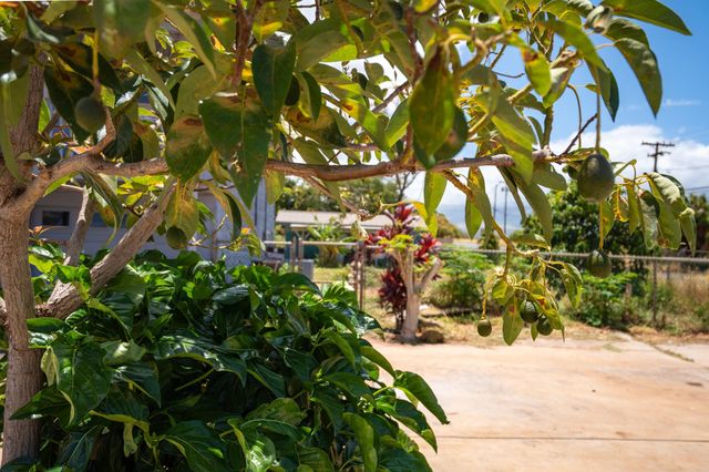 362 Oe St, Kihei, HI 96753