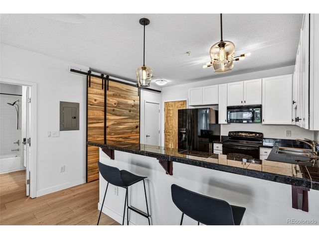 3101 Blake St 205, Denver, CO 80205