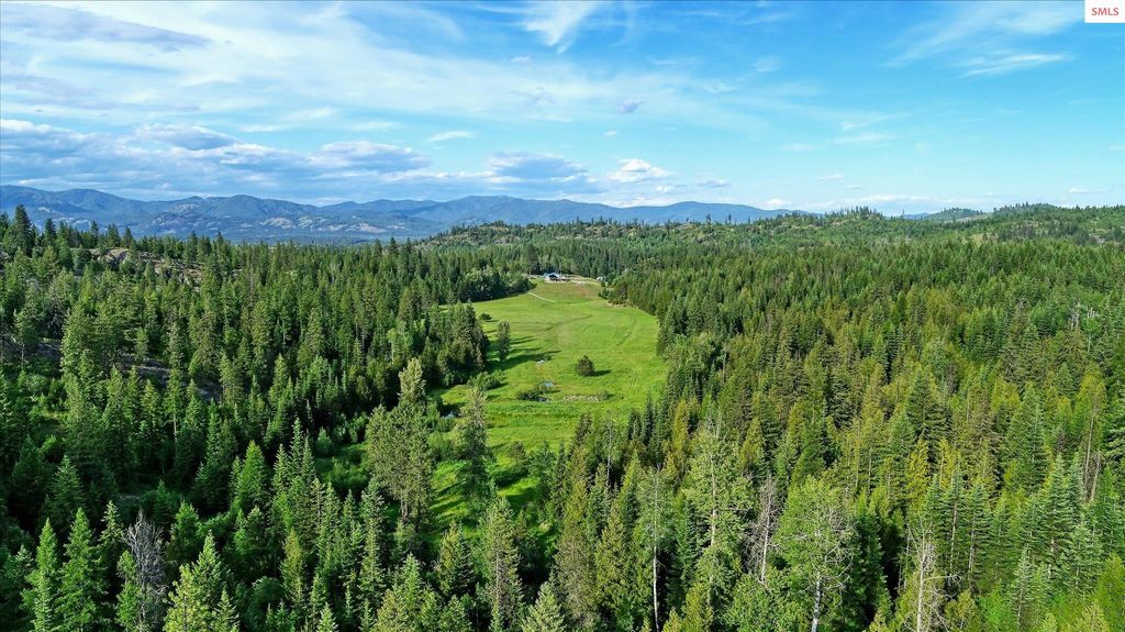 2144 Baker Rd, Newport, WA 99156 photo 30