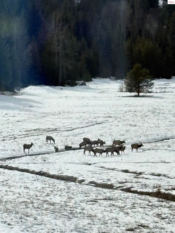 2144 Baker Rd, Newport, WA 99156 photo 41