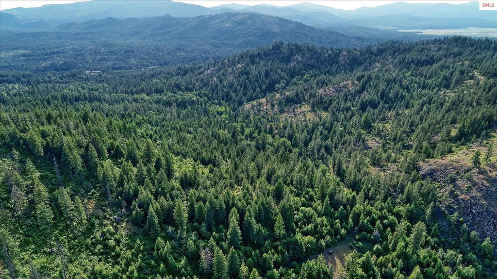 2144 Baker Rd, Newport, WA 99156 photo 5