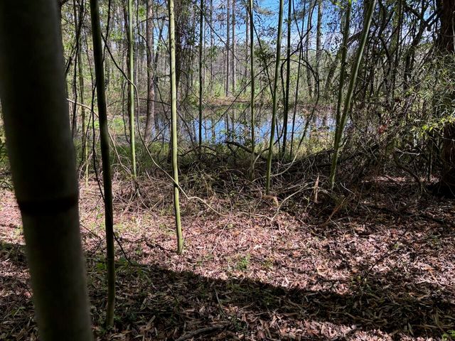730 Seaton Loop, Cohutta, GA 30710
