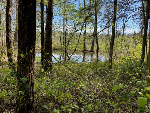 730 Seaton Loop, Cohutta, GA 30710